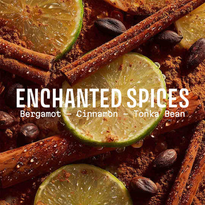 Enchanted Spices Soap 200g – Christmas 2025 Limited Edition