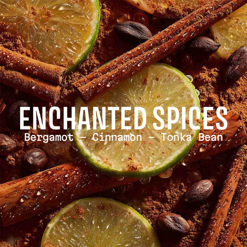 Enchanted Spices Soap 200g – Christmas 2025 Limited Edition